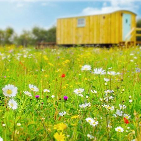 Honeysuckle Farm Holidays By Stay In Suffolk, Monk Soham Вудбридж Экстерьер фото